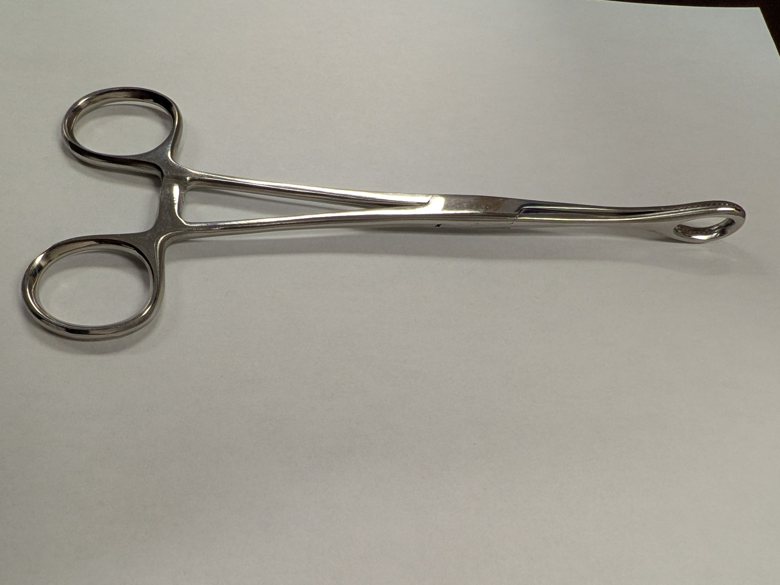 HS8241 - FOERSTER Sponge Forcep 7", Straight, 1/EA