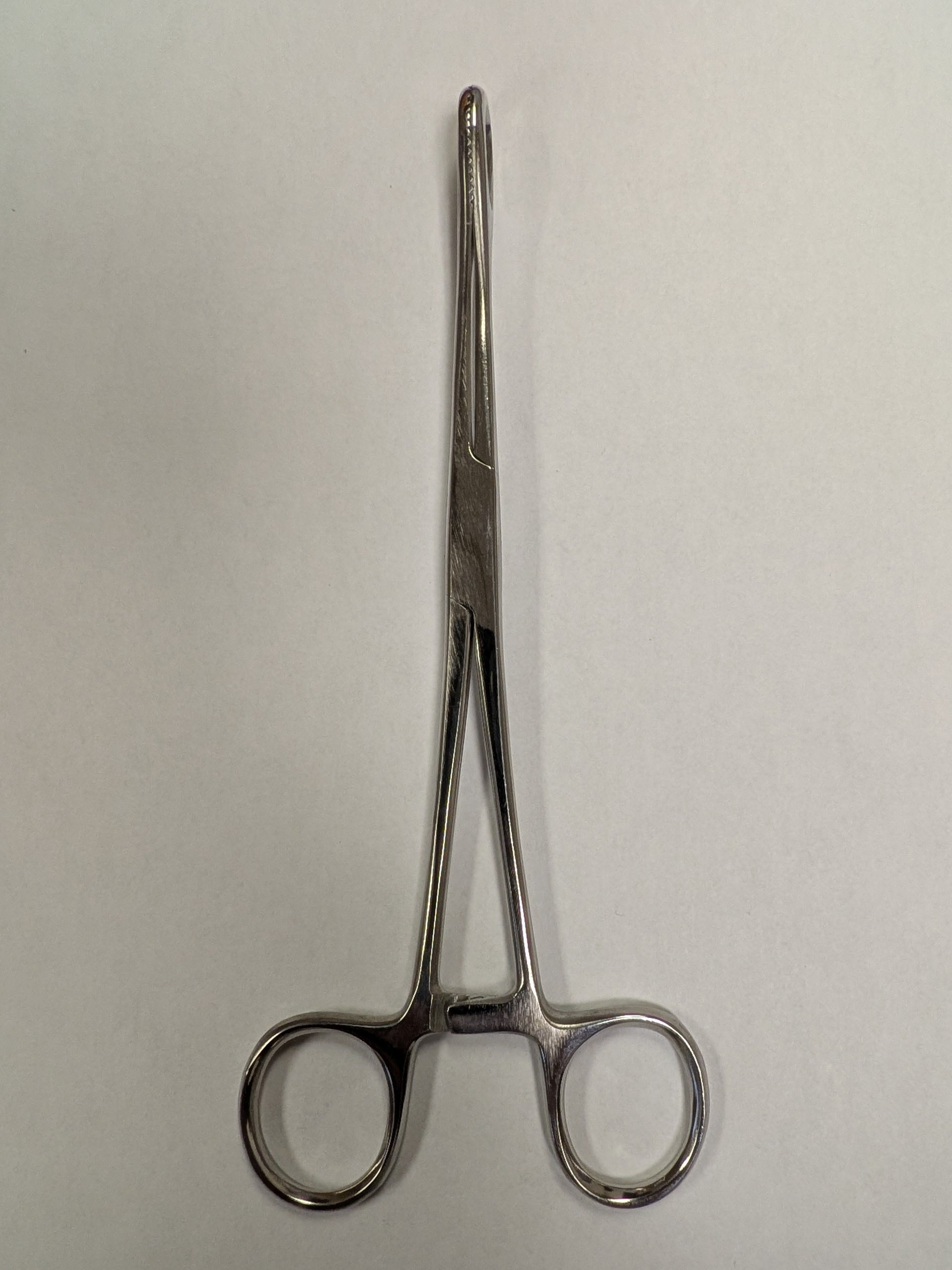 HS8241 - FOERSTER Sponge Forcep 7", Straight, 1/EA