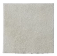 COL3705 Biatain Calcium Alginate Dressing, W5cm x L5cm, 30EA/BX