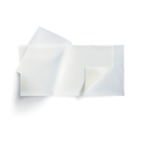 292005 Mepitel Wound Contact Layer Dressing, 20cm x 30cm, 5EA/BX