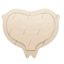 282455 Mepilex Border Sacrum Dressing, Foam, 25cm x 20cm, 10EA/BX
