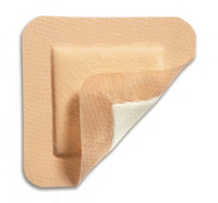 295600-02 - Molnlycke Health Care Mepilex Border, 20cm x 15cm, Foam Dressing, 5EA/BX [DISCONTINUED: Use 282055]