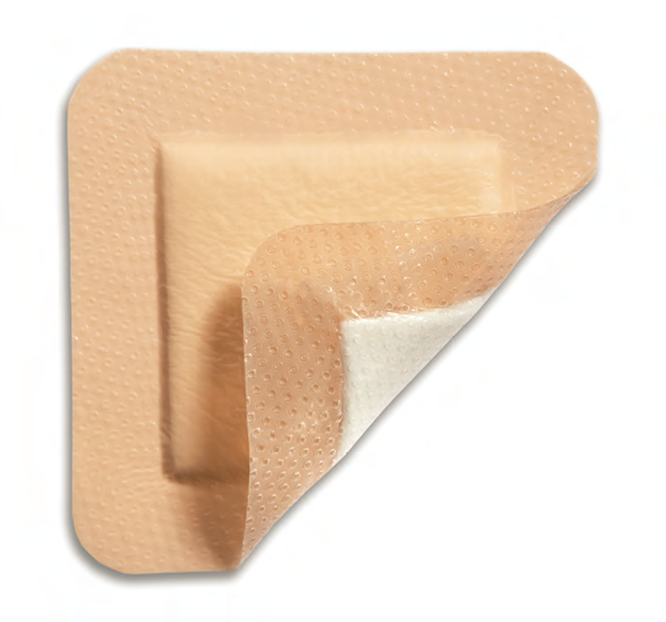 295600-02 - Molnlycke Health Care Mepilex Border, 20cm x 15cm, Foam Dressing, 5EA/BX [DISCONTINUED: Use 282055]