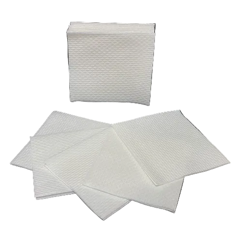 NON260500 Disposable WashCloth 900EA/CA