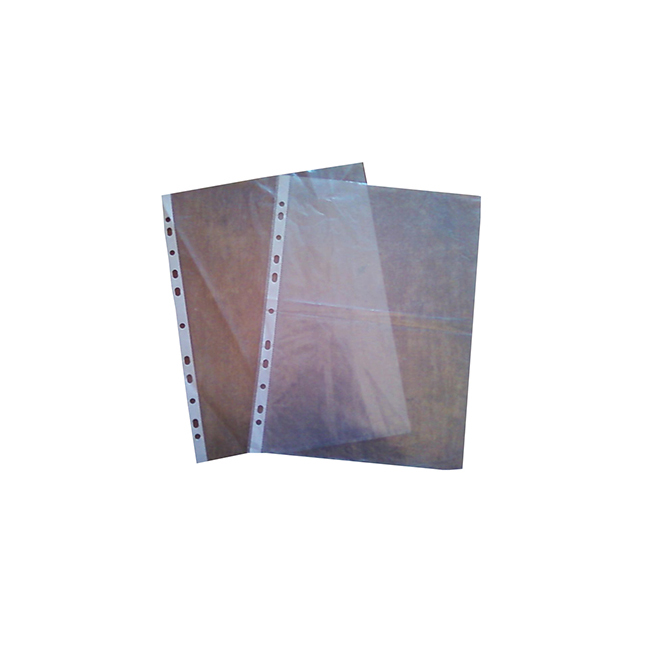 CFHP4070 Sheet Protector, Vinyl, Two Pockets 1/EA